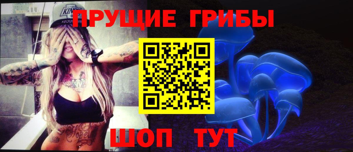 Псилоцибиновые грибы MAGIC MUSHROOMS  Вход с VPN  Псилоцибиновые грибы Cubensis  Ярославль 